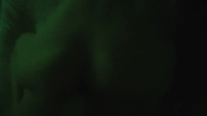 Отчим засадил в падчерицу Alina Rai