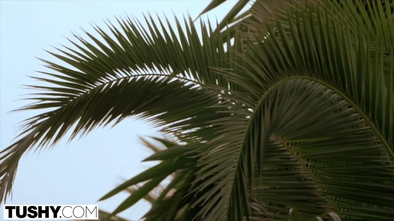 Красотка Little Caprice в жарком пляжном сексе